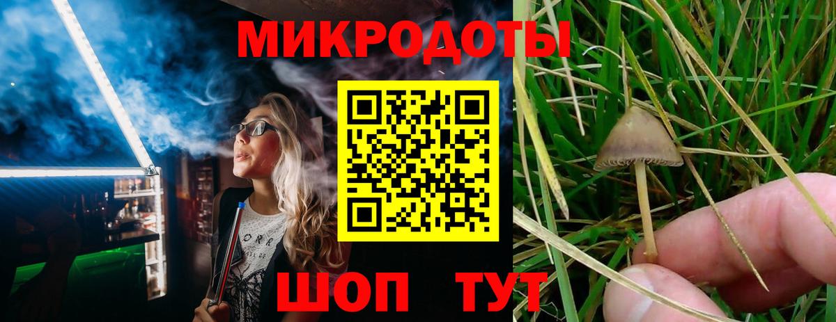 Златоуст  Галлюциногенные грибы Psilocybe  Вход с VPN 